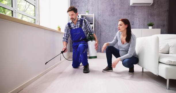 Trusted Sauk Rapids, MN Pest Control Experts